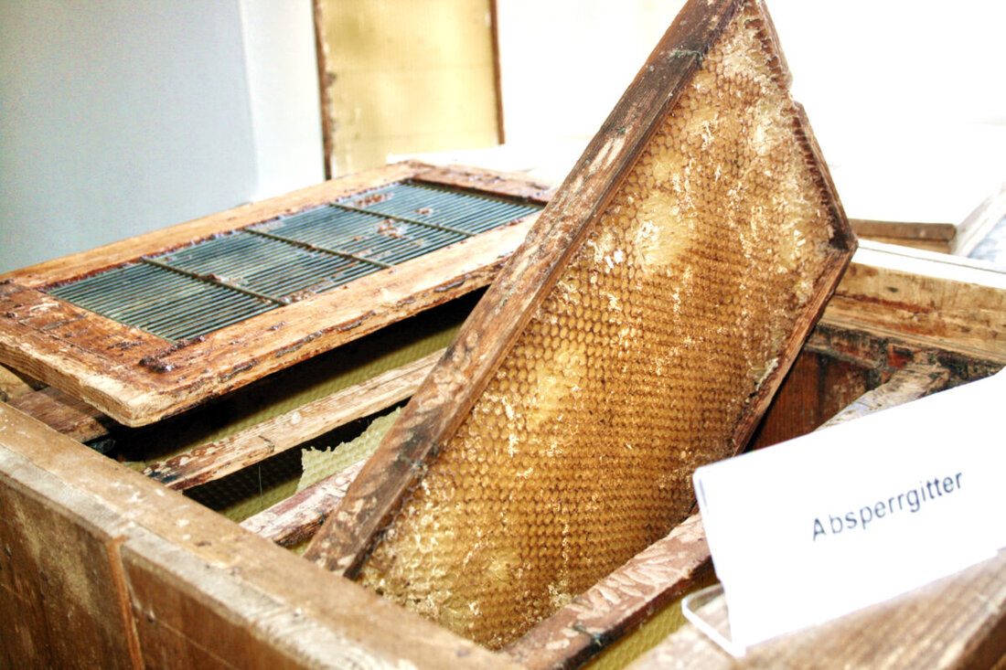 Erbendorf. Der Honigbiene und der Imkerei ist die neue Sonderausstellung im Heimat- und Bergbaumuseum gewidmet. Unter dem Titel „alles Biene! Imkerei früher und heute“ wird die Geschichte eines sehr alten traditionellen Handwerks. Erstmals zu sehen ist die Ausstellung am Sonntag von 14 bis 16 Uhr.