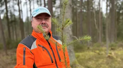 Atlaszeder und Douglasie: Waldumbau kommt im Forstbetrieb Flossenbürg gut voran