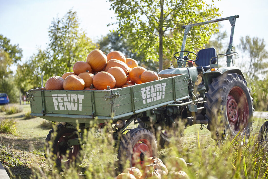 Marktredwitz. Am Samstag findet eine Bio-Höfe-Radwanderung durch die Öko-Modellregionen Fichtelgebirge, Steinwald und Stiftland statt.