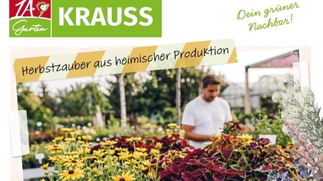 [Advertorial] Weiden. Wenn die Tage kürzer werden und die Natur in ihren schönsten Herbstfarben leuchtet, beginnt eine besonders gute Zeit für Gartenliebhaber. Jetzt bieten die milden Temperaturen und die zunehmende Feuchtigkeit optimale Bedingungen, um neue Pflanzen einzusetzen und den Garten auf die kalte Jahreszeit vorzubereiten.