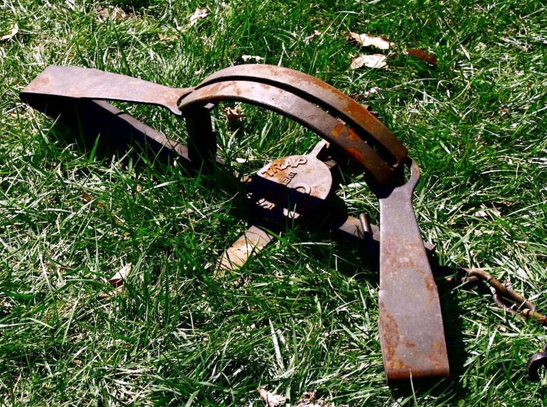 Eslarn/Weiden. Der Hund eines Ehepaars aus Weiden geriet letztes Wochenende beim Spazierengehen im Gemeindebereich Eslarn in eine Schlagfalle. Glücklicherweise verletzte sich der Hund dabei nicht schwerer. Letztes Wochenende ging ein Ehepaar [&hellip;]