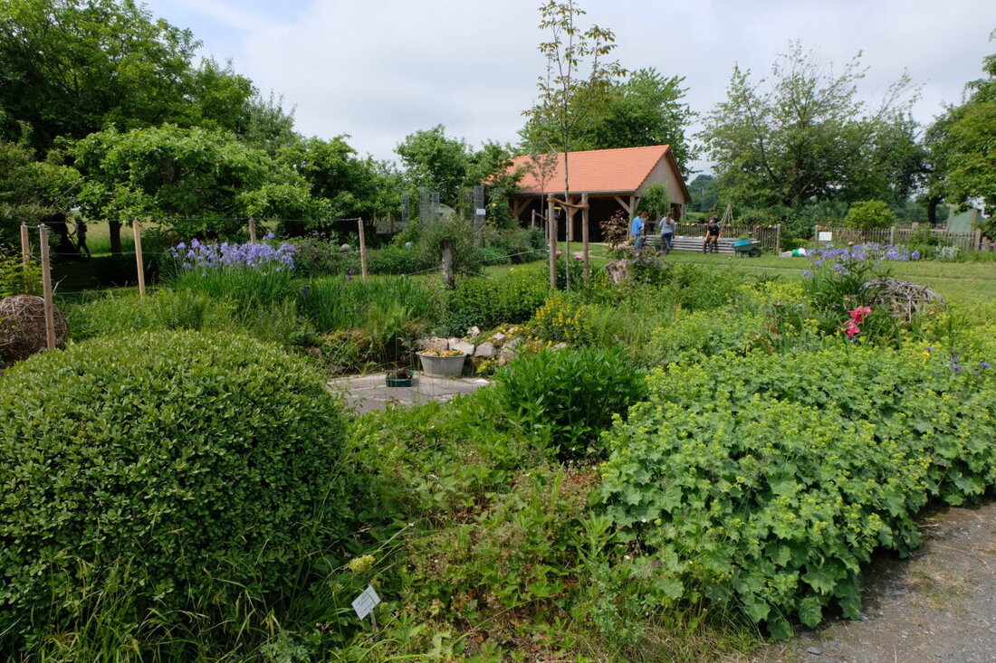 Floß. Der Obst- und Gartenbauverein Floß bereitet sich auf sein 120. Jubiläumsjahr mit zahlreichen Veranstaltungen vor, darunter das Muttertagsbasteln und das Hollerküchlfest. Die Feier findet hauptsächlich im Kreislehrgarten statt, mit Highlights wie Hermanns Kasperltheater und einer Benefizveranstaltung.
