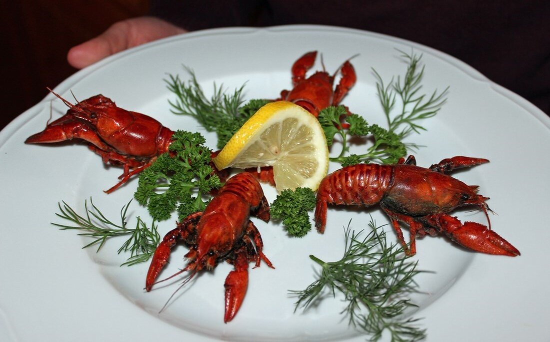 Kemnath. Was kann man tun, um die einheimischen Edelkrebse zu retten? Ganz einfach – die amerikanischen Konkurrenten-Krebse aufessen! Genau das plant der Verein ARGE Fisch e.V. mit seiner Aktion „Artenschutz durch [&hellip;]