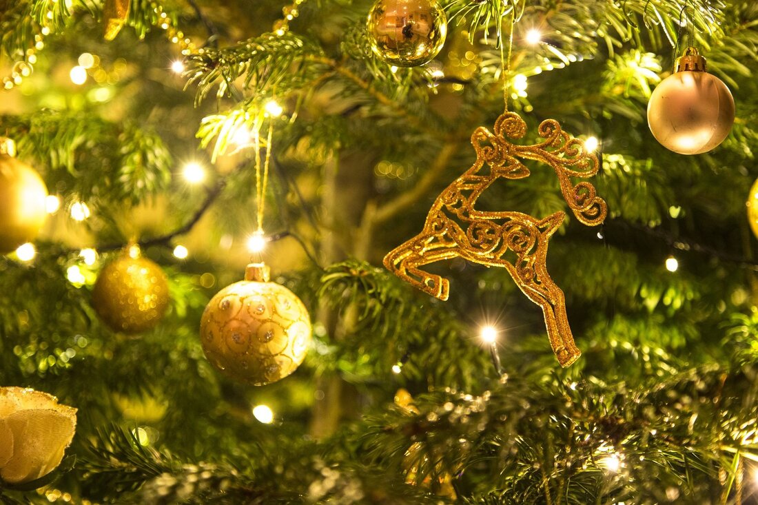 Neustadt/WN. Die Neustädter Polizei konnte einen Christbaumdieb stellen. Zumindest zeigte sich der Herr reumütig und entschuldigte sich bei der bestohlenen Dame.  Die Neustädterin (50) wohnt in einem Mehrfamilienhaus in der [&hellip;]