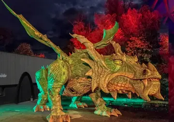 Magischer Abend: Nacht des Drachen begeistert Furth im Wald
