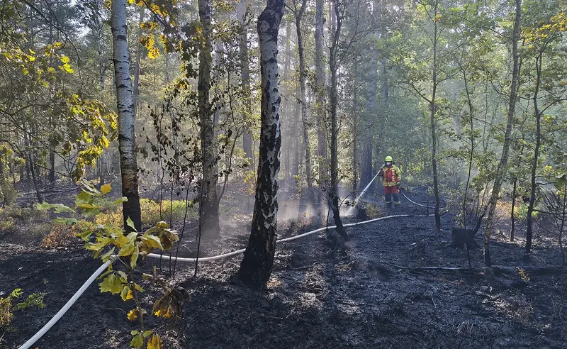Waldbrand am Dießfurter Badesee