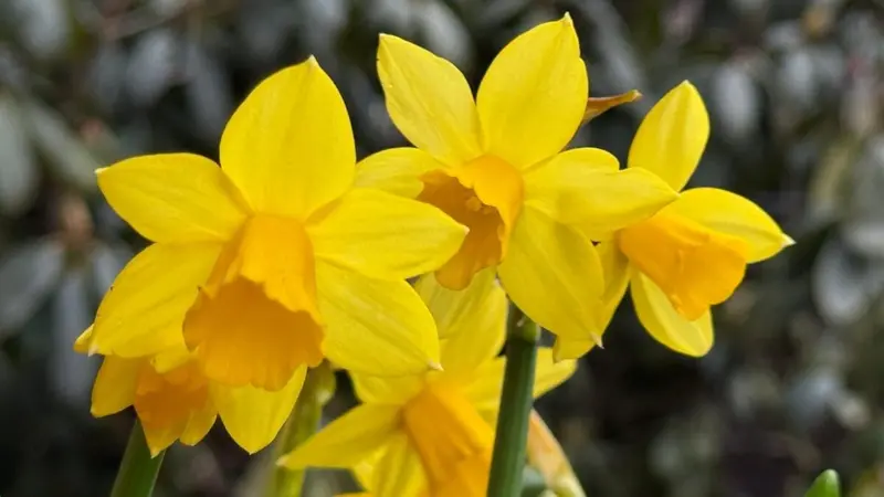 Was ist im Monat März 2026 wichtig? OberpfalzECHO gibt einen unterhaltsamen Überblick