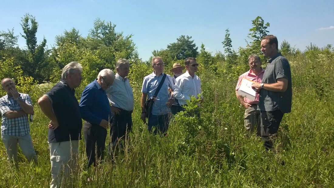 Weiden. Dass ein Wald durch intensive forstwirtschaftliche Nutzung geschützt werden kann, klingt zunächst eher seltsam. Das dies aber wirklich so ist, davon konnten sich jetzt die Weidener Stadträte bei einer [&hellip;]