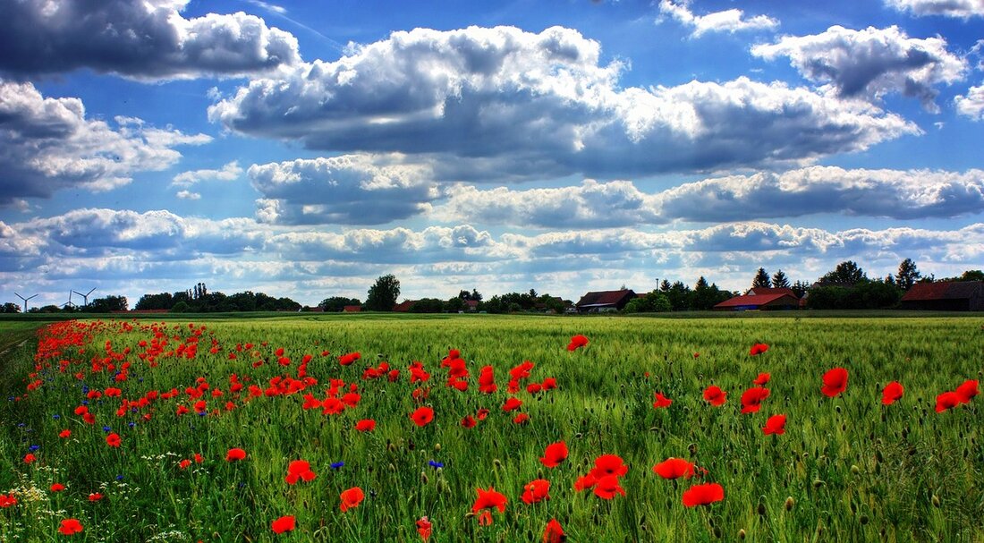 Weiden. Im Fortbildungszentrum Almesbach gibt es ab September einen neuen Lehrgang. An der Bildungseinrichtung gibt es Kurse, die die Teilnehmer zum (zur) geprüften Natur- und Landschaftspfleger(in) machen.  Das Fortbildungszentrum Almesbach [&hellip;]