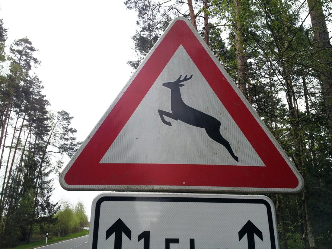 Parkstein/Hütten. Als plötzlich ein Reh auf die Straße springt, hat ein Motorradfahrer (62) aus Parkstein keine Chance mehr: Er erfasst das Tier.  Wie die Polizei mitteilt, war der Elektromonteur (62) [&hellip;]