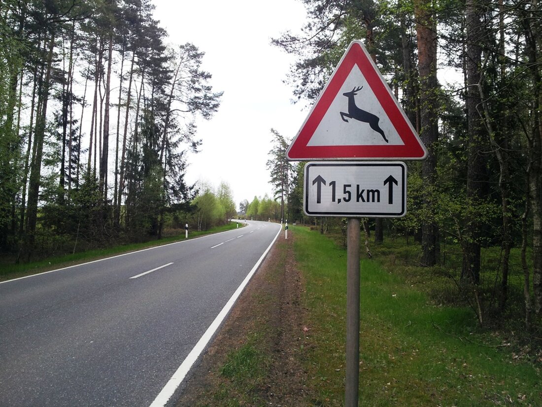Weiden/Neustadt/WN. Die Polizei Neustadt/WN warnt alle Auto- und Motorradfahrer vor Wildunfällen. Allein in den letzten Wochen kam es zu rund 40 Zusammenstößen mit Wildschweinen, Rehen und Füchsen. Derzeit kommt es [&hellip;]