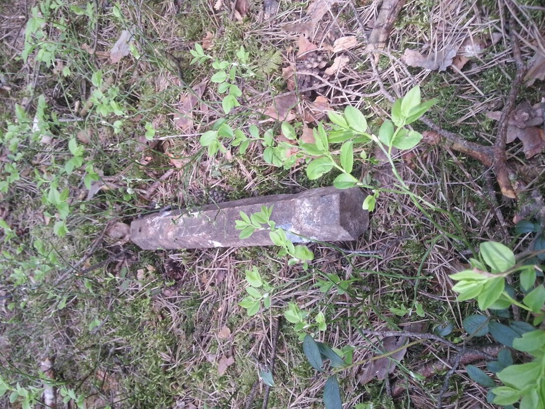 Weiden. Wer sich heute gewundert hat, warum rund um den Waldspielplatz so viel Polizei unterwegs war: Man hat dort wohl Munition gefunden. Glücklicherweise war es kein großer Sprengsatz und die Polizei [&hellip;]