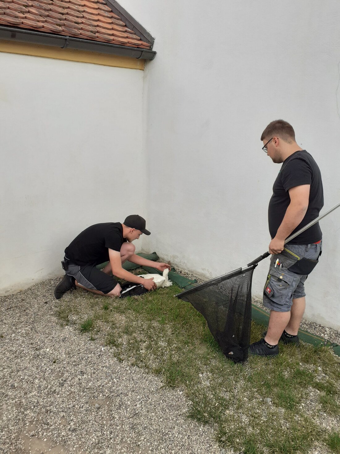 Luhe-Wildenau. Dieser Storch hatte Glück, dass er von einer Luhe-Wildenauerin bemerkt wurde. Die Vogelstation wird ihn jetzt aufpäppeln. Am Samstagmittag meldete eine Luhe-Wildenauerin (55), dass seit ein paar Tagen ein [&hellip;]
