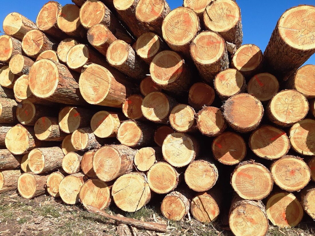 Reuth bei Erbendorf. Ein halber Ster Fichtenholz verschwindet vom Holzplatz eines Anwohners in der Friedhofstraße. Die Polizei hofft auf Zeugen. 