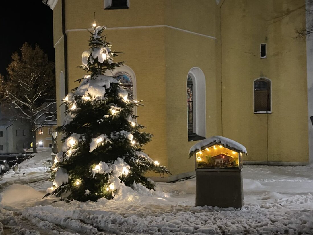 Amberg. Die Stadt Amberg informiert darüber, dass Bürger vollständig abgeschmückte Christbäume über die Grüngutcontainer im Stadtgebiet entsorgen können. Eine Sammlung der Christbäume am Dultplatz ist nicht mehr vorgesehen und nicht zulässig.