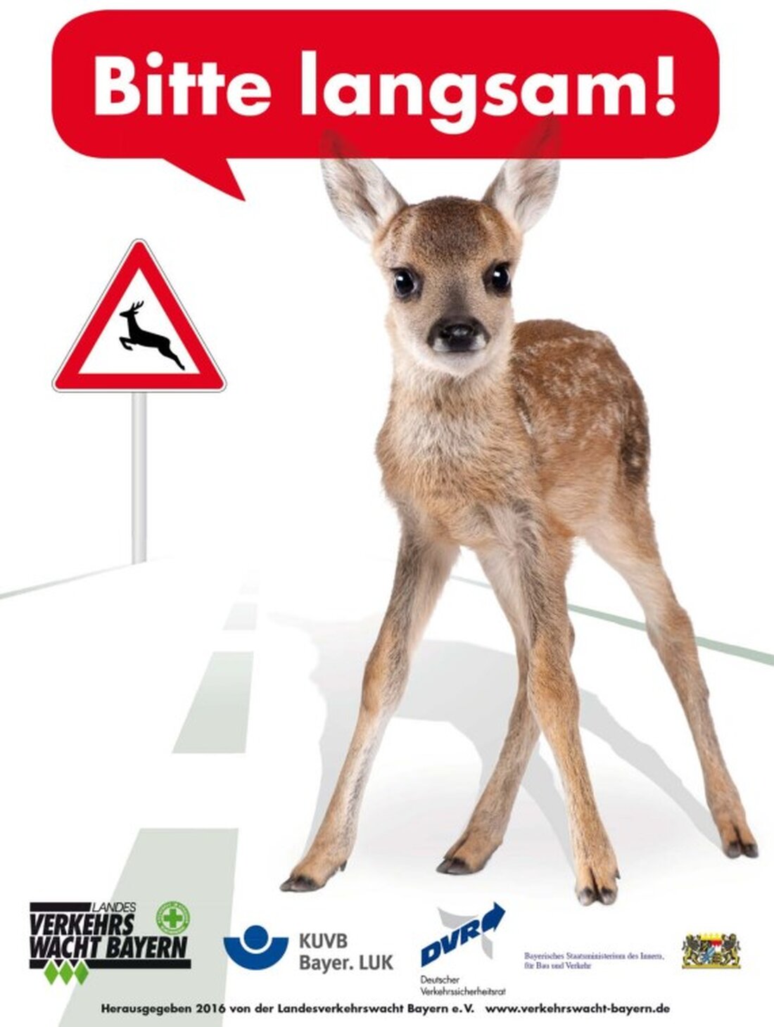 Oberpfalz. Die Polizei warnt zu Beginn der Jagdsaison vor einem Anstieg der Wildunfälle, mit ca. 1.100 Fällen im Mai. Tips umfassen Tempo reduzieren, auf Schilder achten und nicht ausweichen.