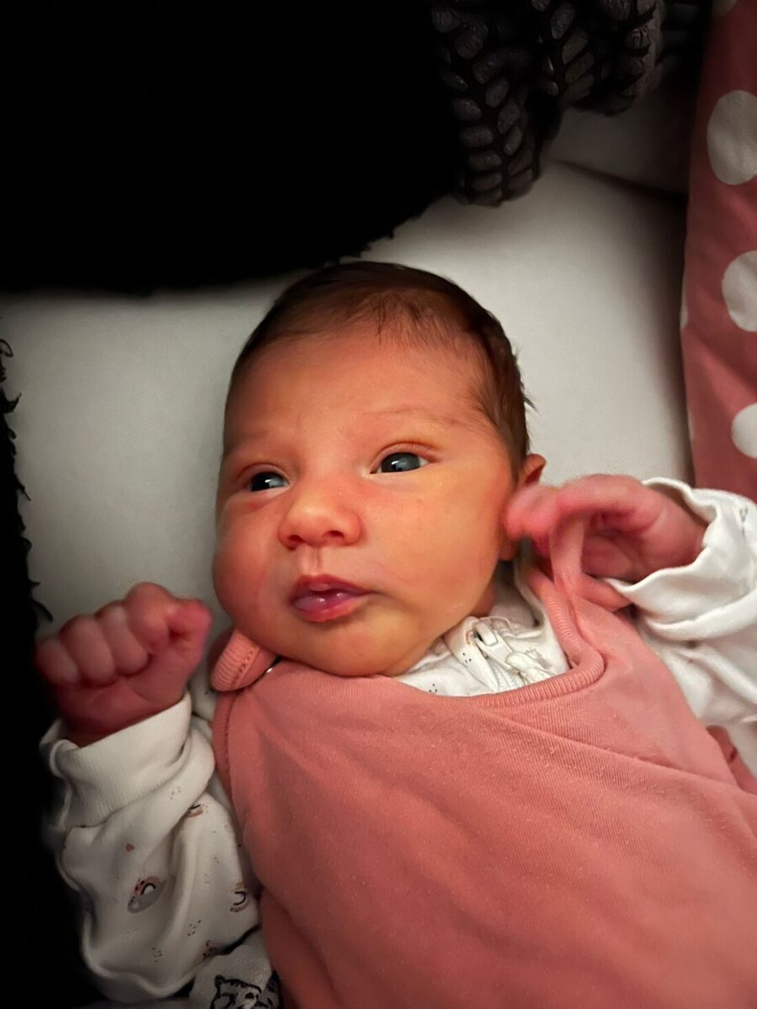 Nordoberpfalz. So süß ist der Nachwuchs der Nordoberpfalz. Zeigt uns auch eure kleinen Wunder!