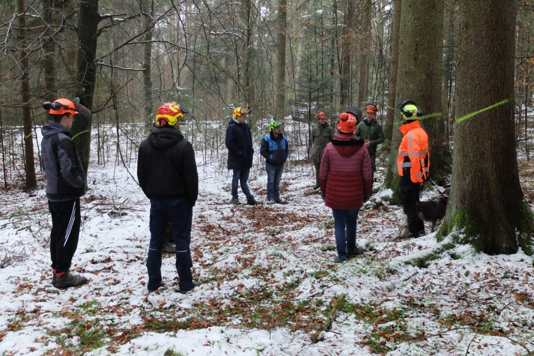 Regensburg. Das AELF Regensburg-Schwandorf stärkt Waldbesitzer mit dem kostenlosen Bildungsprogramm Wald (BIWA) im Herbst/Winter 2025. Praxis und Theorie von Recht bis Pflanztechnik, Harvester live; Vormerkung für 2026 möglich.