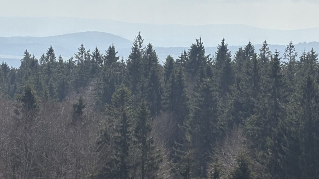 Tirschenreuth. Der vermisste 87-.Jährige aus Tirschenreuth ist in Sicherheit. Wie die Polizeiinspektion mitteilte, konnte der Mann in einem Waldgebiet in Tschechien gefunden werden.