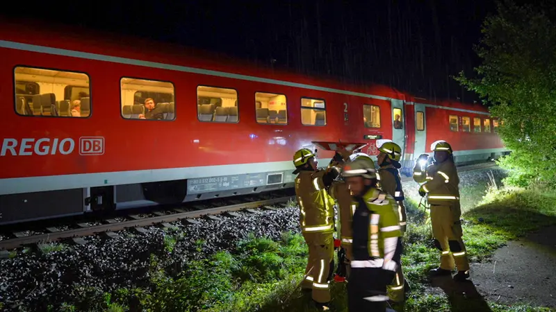 Regionalzug rammt Baum bei Poppenricht
