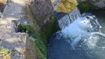 Projekt lässt Thumbach wieder frei fließen