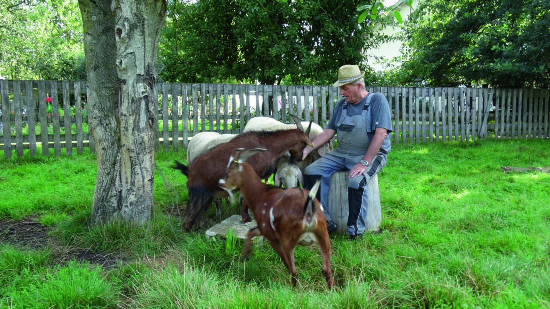 Weiden. Am 21. Mai 2026 lädt das Amt für Ernährung, Landwirtschaft und Forsten zur Infoveranstaltung Soziale Landwirtschaft in der Beethovenstraße neun. Für Landwirtinnen und Landwirte, 13 bis 17 Uhr; Anmeldung bis 14. Mai 2026.