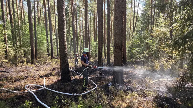 [Update] Großflächiger Waldbrand bei Schirmitz: B22 war komplett gesperrt