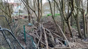 Stadt Amberg bittet um Hinweise zu illegaler Grüngutablagerung