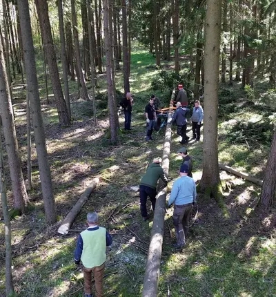 Gemeinschaft in Naslitz stemmt 24 Meter hohen Maibaum