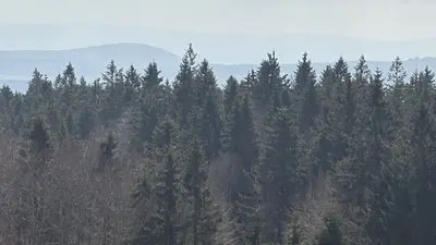 Entwarnung: Vermisster (87) aus Tirschenreuth in Tschechien gefunden