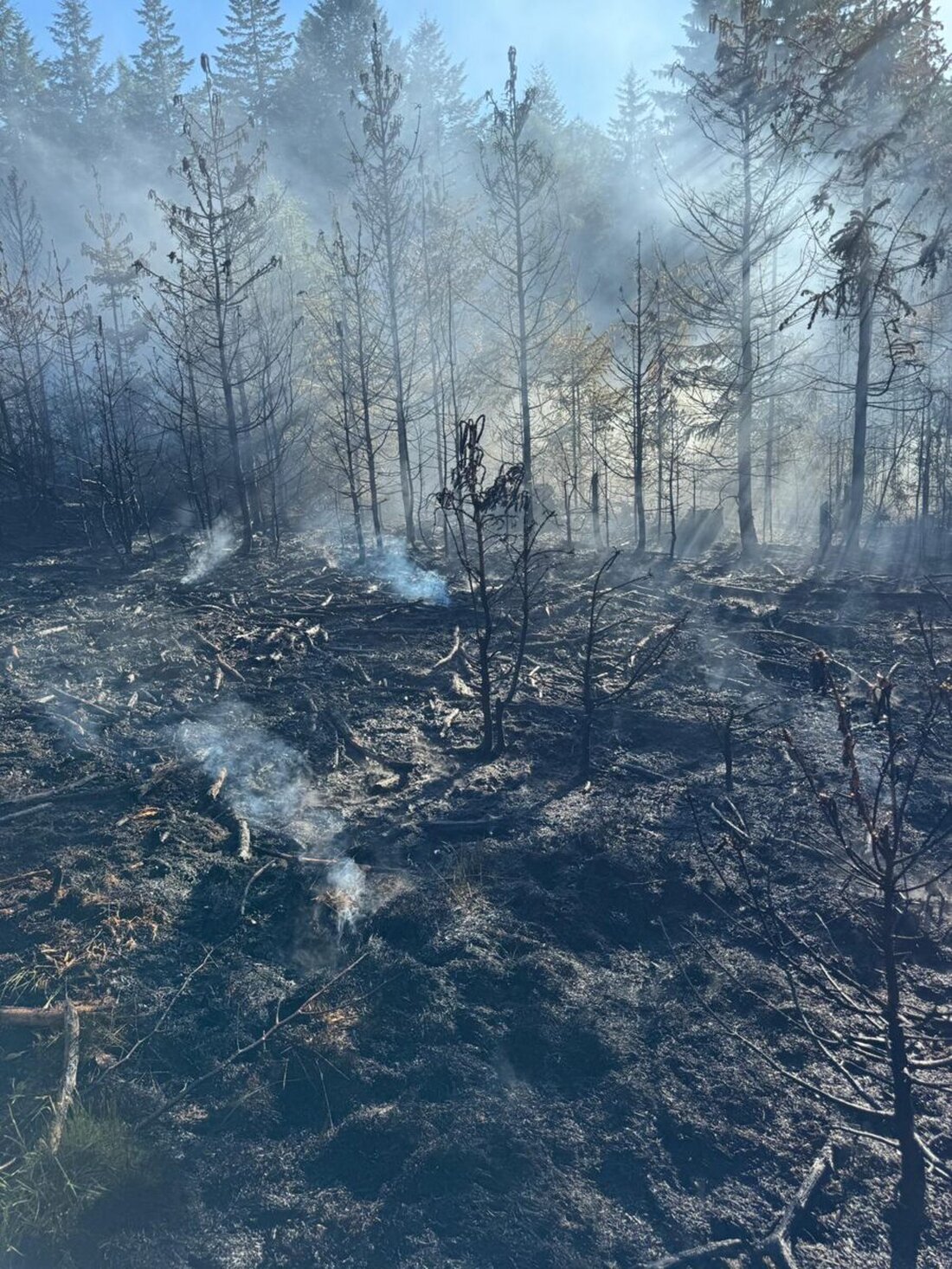 Etzgersrieth. Zwischen Etzgersrieth und Wildstein brannte am 29. Mai 2026 ab 16.58 Uhr Wald auf 10.000 Quadratmetern. Einsatzkräfte löschen Glutnester, rund 125 Helfer und mehrere Landwirte mit Güllefässern unterstützen.