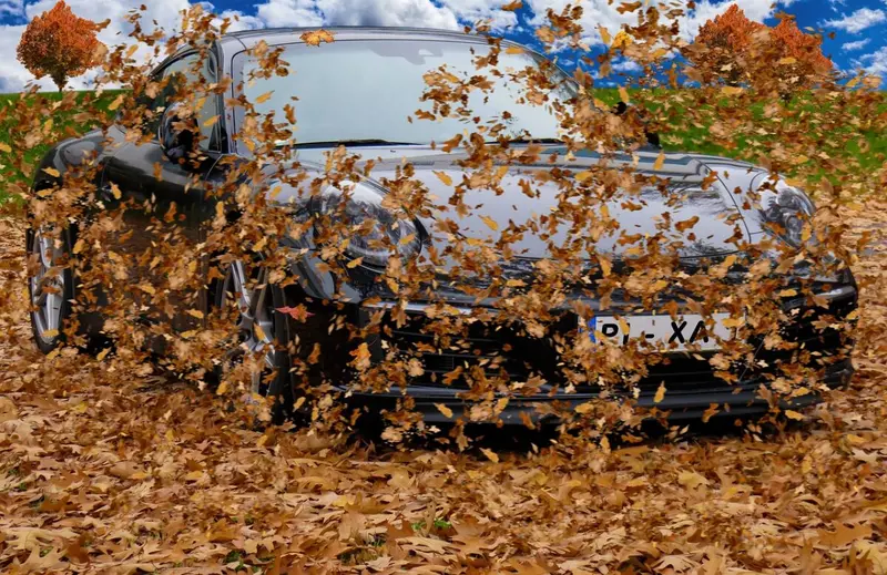 Herbstlaub wer räumt, wer haftet, wer zahlt?