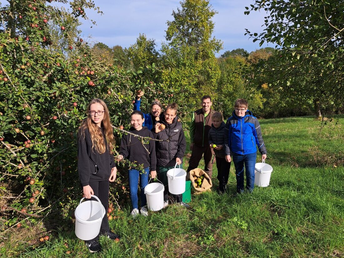 Teublitz. Juradistl-Streuobstsammlung erzielt mit 800 Kilogramm Äpfeln das zweitbeste Ergebnis der letzten zehn Jahre, unterstützt von Landschaftspflegeverband Schwandorf und Jugendgruppe. Ziel ist der Erhalt artenreicher Streuobstbestände und die Förderung der regionalen Verwertung.