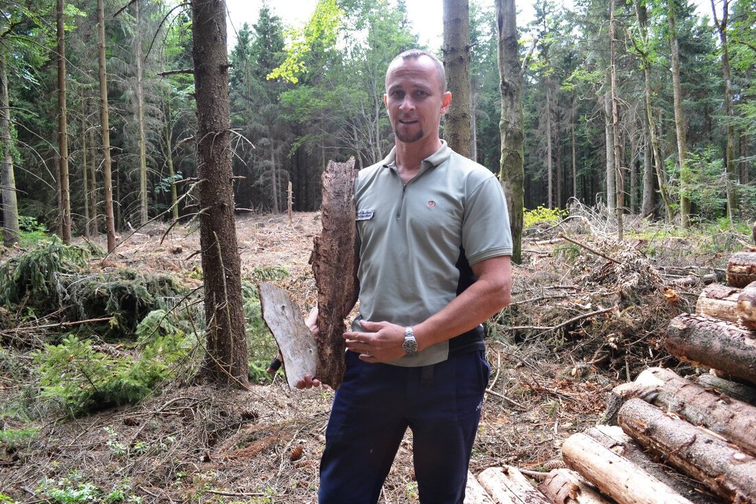 Fuchsmühl. Der Wald leidet unter der Trockenheit und dem Borkenkäfer. Rund um Fuchsmühl mussten schon 10.000 Kubikmeter Bäume gefällt werden – und noch ist kein Ende in Sicht. Von Udo Fürst [&hellip;]