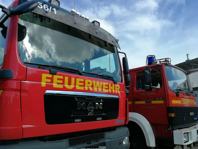 Waldbrand bei Schwarzhofen vernichtet zwei Hektar Wald