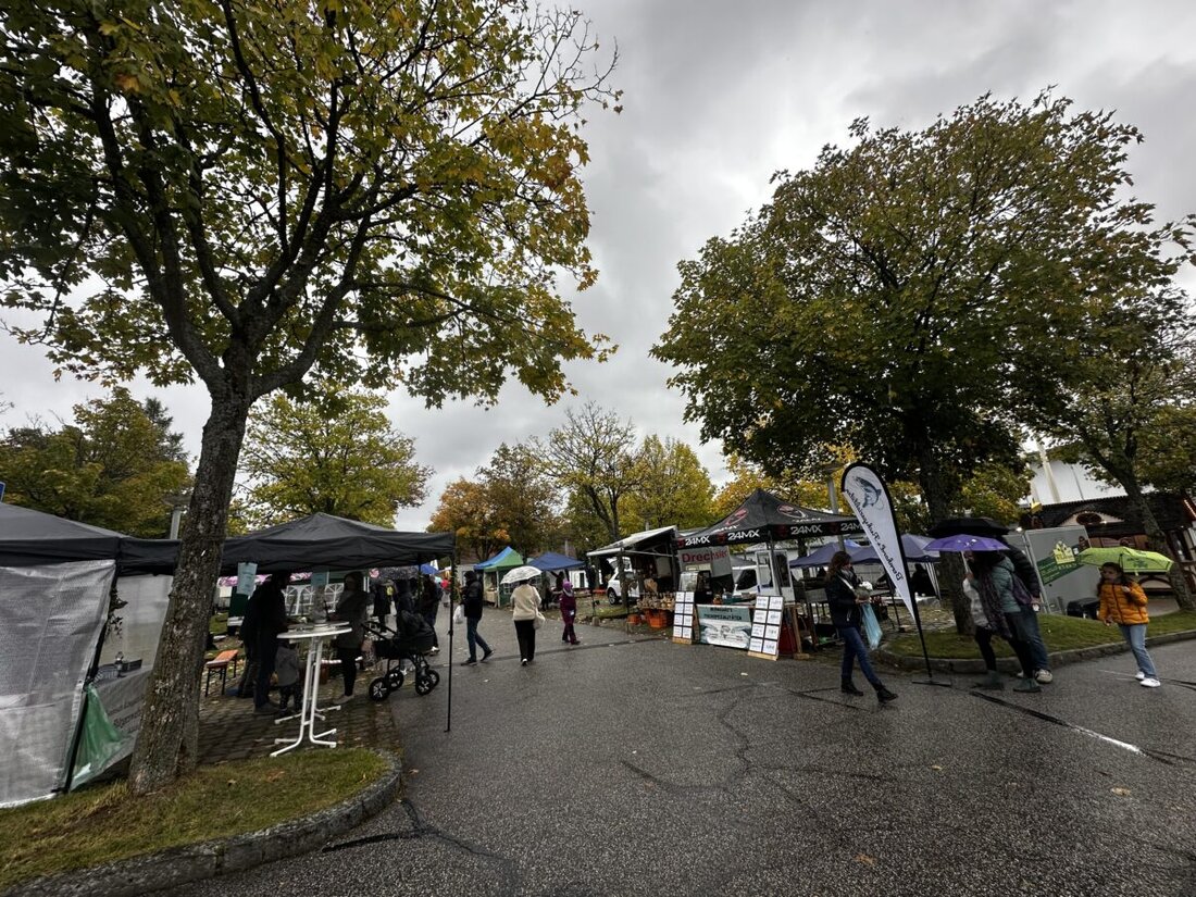 Neustadt/WN. Der Erntedankmarkt steigt am 4. Oktober 2026 in seiner dritten Auflage, erstmals auch mit Ständen in der Stadthalle. Die Stadt sucht regionale Fieranten für Lebensmittel, Handwerk und Kinderangebote.