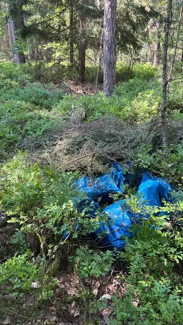 Verdächtige Personen in Waldstück – Hochwertiges Diebesgut sichergestellt