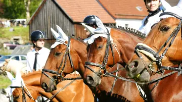 Feuerwehrjubiläum in Beidl mit Leonhardiritt am Pfingstmontag 2026