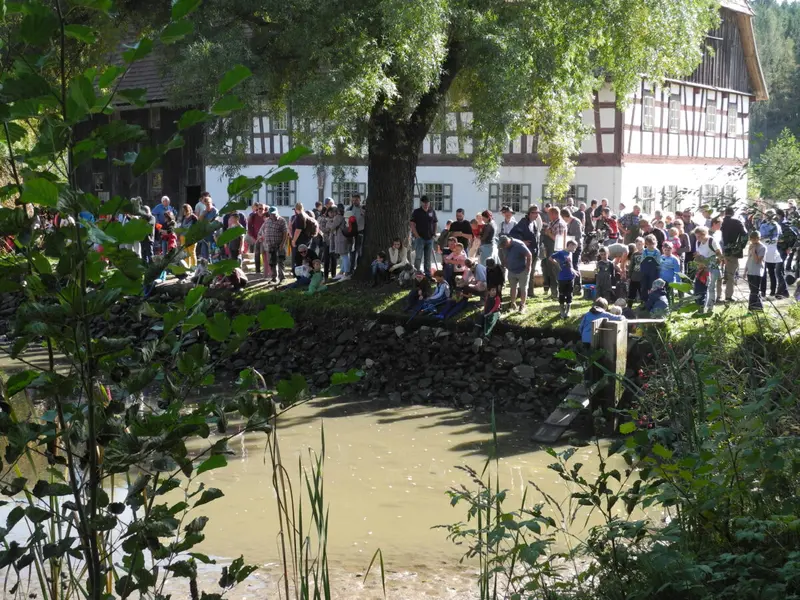 Abfischen, Drachensteigen und Fischschmankerl im Freilandmuseum