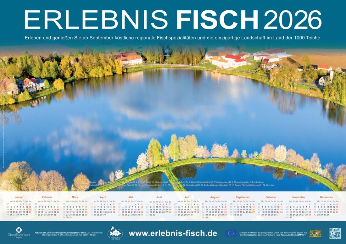 Tirschenreuth. Der Wandkalender Erlebnis Fisch 2026 der ARGE Fisch ist da und ab sofort kostenlos im Landratsamt am Infopoint erhältlich. Auch viele Teichwirte mit Direktvermarktung geben Exemplare zu ihren Öffnungszeiten aus.