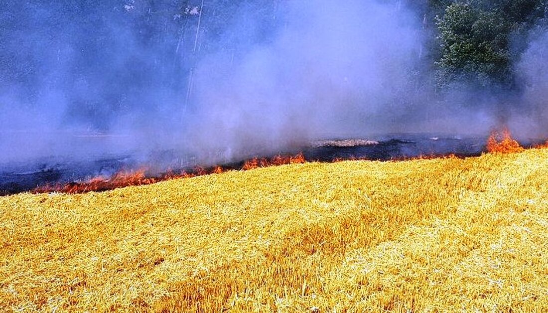 Bärnau. Da ein Stein in die Presskammer einer Quaderballenpresse gelangte, wurde gestern gegen 11.00 Uhr, in der Steinbergstraße das Stroh eines Getreidefeldes in Brand gesetzt. Es brannten etwa 5.000 Quadratmeter Stoppelfeld [&hellip;]