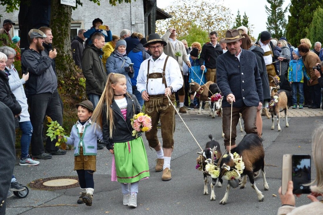 Neustadt/Kulm. Der Almabtrieb der Ziegen in der Kulmstadt genießt fast schon Kultstatus. Alljährlich Anfang Oktober lassen sich Tausende Besucher diesen Viehscheid der etwas anderen Art nicht entgehen. Von Udo Fürst So [&hellip;]