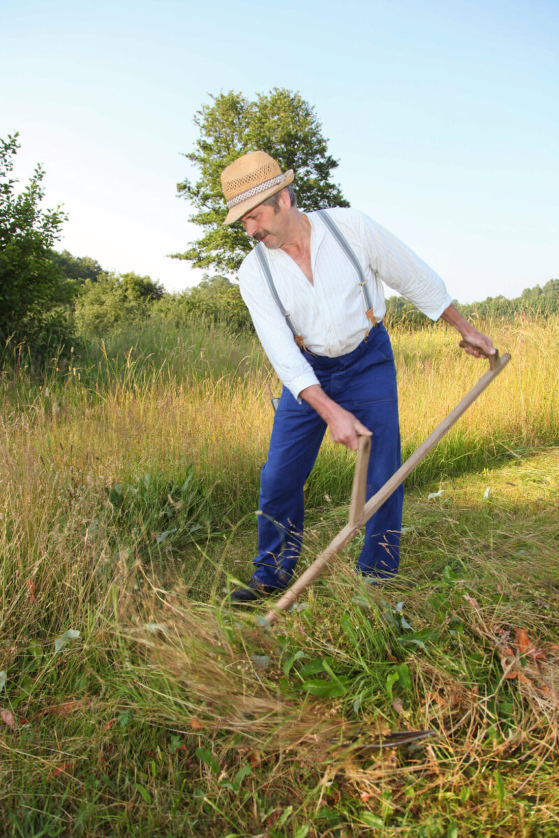 Senkendorf. Hans Wopperer bietet am 16. Juni einen Lehrgang im Sensenmähen als Vorbereitung auf den Erntedankzug in Kastl am 14. September 2025 an. Teilnehmer lernen die traditionelle Mähtechnik für den Festzug oder den Hausgarten.