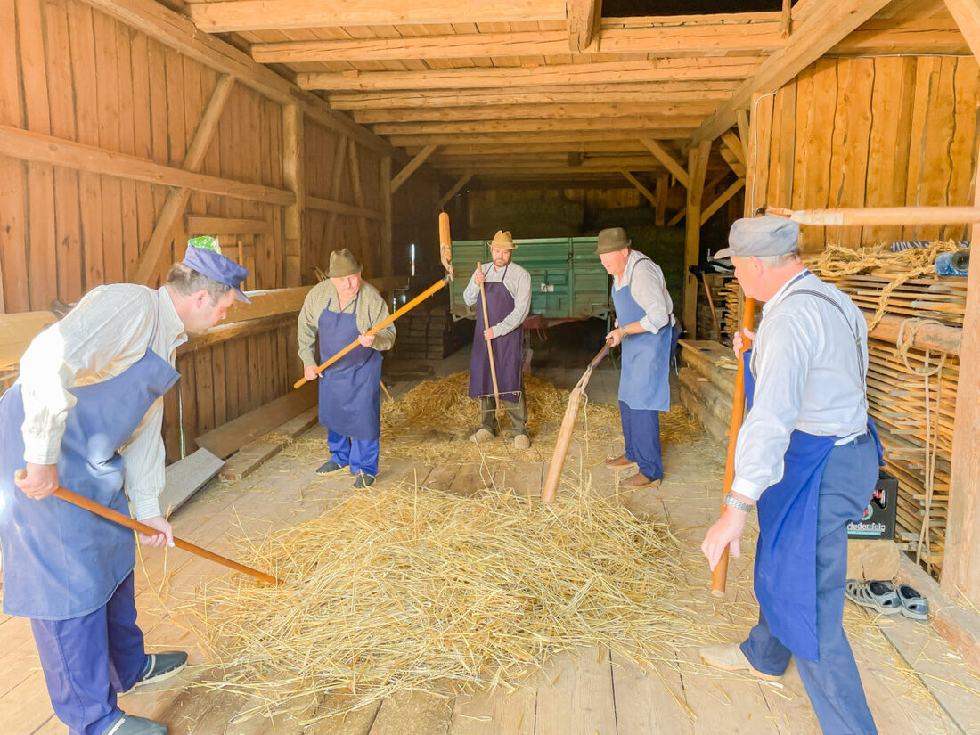 Altköslarn. Es riecht nach altem Holz, nach Kornstaub und nach dem schweren Atem der Männer. Jeder Schlag hallt dumpf durch den Stodl von Josef Prieschenk in Altköslarn, als die Dreschflegel auf den hölzernen Boden krachen.