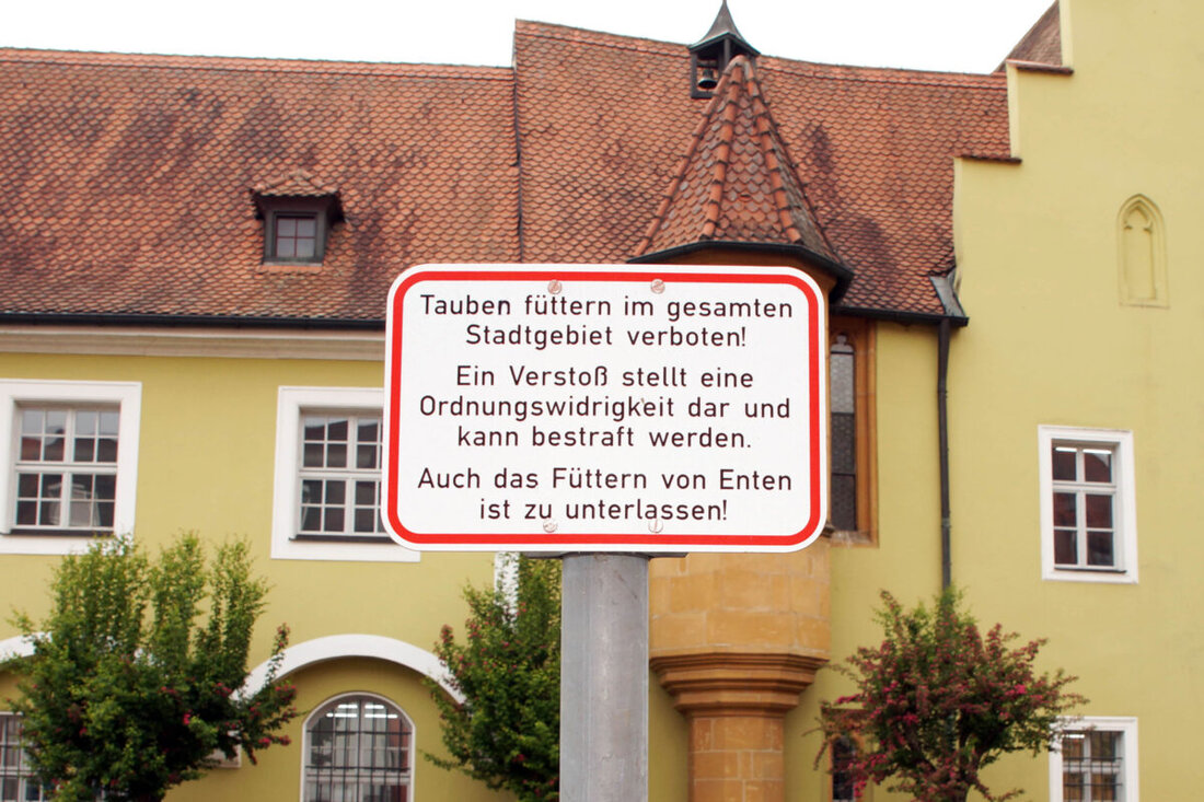 Amberg. Die Stadt erinnert an das Fütterungsverbot verwilderter Tauben, Verstöße ziehen Geldbußen nach sich.