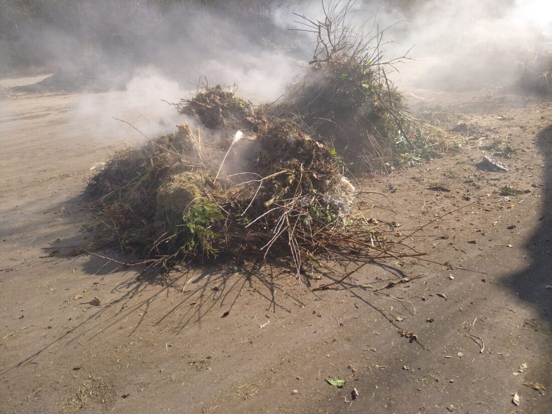 Amberg. Im gesamten Stadtgebiet stehen den Bürgerinnen und Bürgern derzeit mehr als 40 Containerstandorte zur Verfügung, um Grüngut und Dosen bequem und umweltgerecht zu entsorgen. Doch immer wieder kommt es zu schwerwiegenden Fehlbefüllungen, die Gefahren für Mensch und Infrastruktur mit sich bringen.