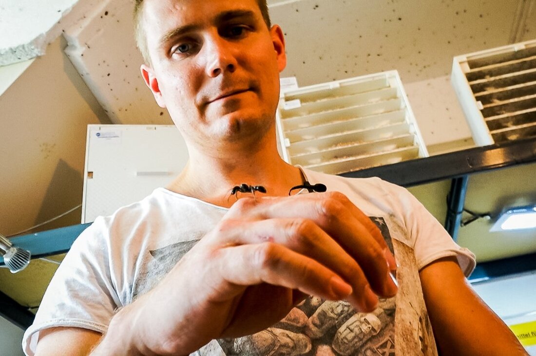 Weiden. Zalando, Amazon oder Otto – Shops, über deren Produkte René Hiersigk nur lächeln kann. Denn er besitzt wohl einen der kuriosesten Onlinehandel in Deutschland. Seit über 17 Jahren betreibt er [&hellip;]