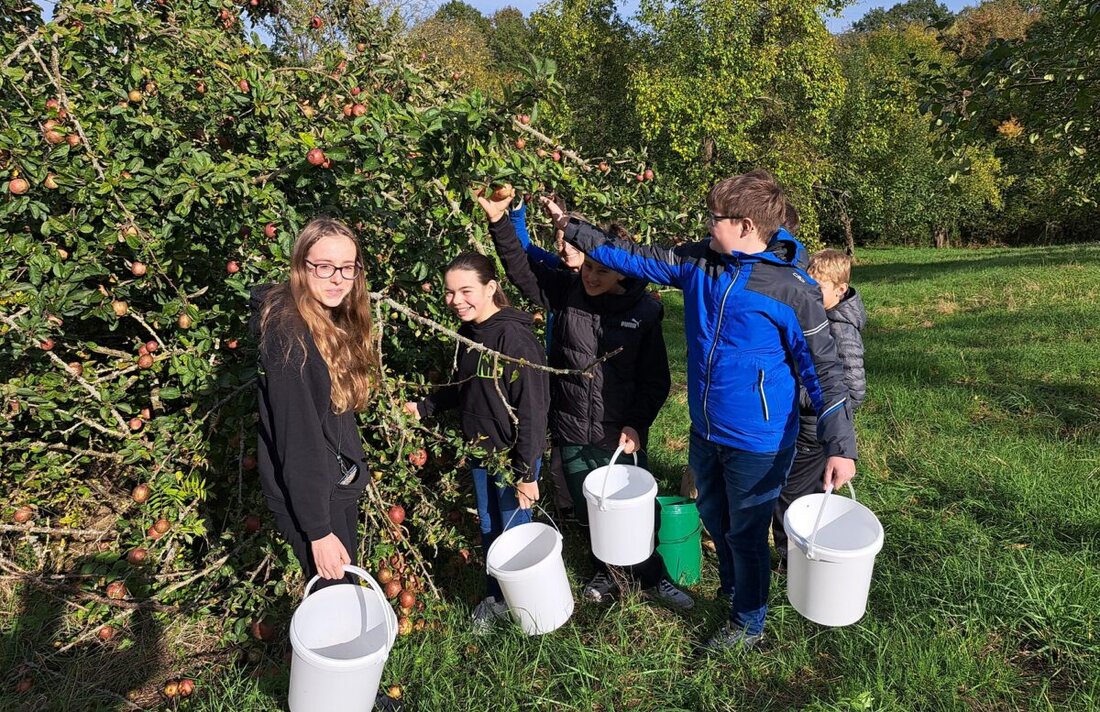 Teublitz. Am 4. Oktober 2025 von 14.00 bis 16.00 Uhr sammelt der Landschaftspflegeverband bei Metzgerei Biller ungespritzte Äpfel, 15 € je 100 kg, dazu Jugendwettbewerb mit Geldpreisen.