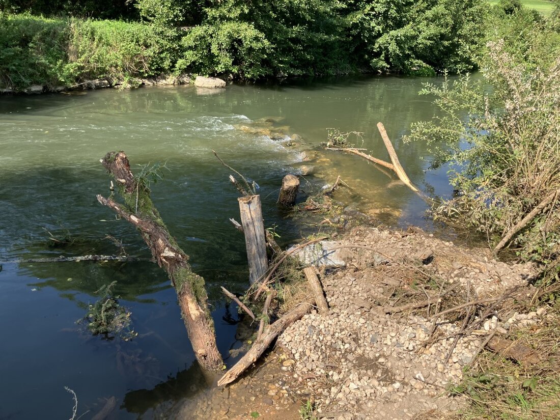 Pfreimd. Das Wasserwirtschaftsamt Weiden wertet den Abschnitt bei Gnötzendorf naturnah auf: Baumstämme, Wurzelstöcke und Steine lenken Strömungen, fördern Artenvielfalt und sichern den guten Zustand nach Wasserrahmenrichtlinie.