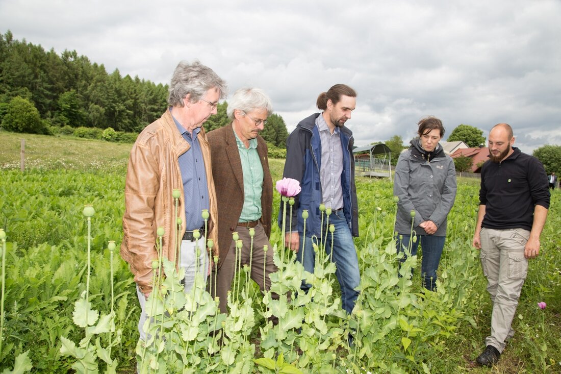 Erbendorf. Die Ökomodellregion Steinwald ist eine der zwölf Ökoregionen in Bayern, die vom Bayerischen Landwirtschaftsministerium 2014 und 2015 initiiert wurden, um das Angebot für regionale Bioprodukte auszubauen. Ziel der Staatsregierung [&hellip;]